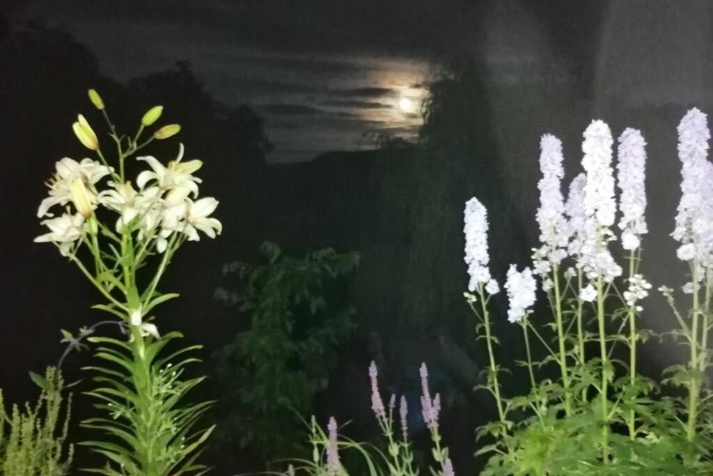 Nachhaltiges Wohnen In Seenaehe Schoemberg  외부 사진