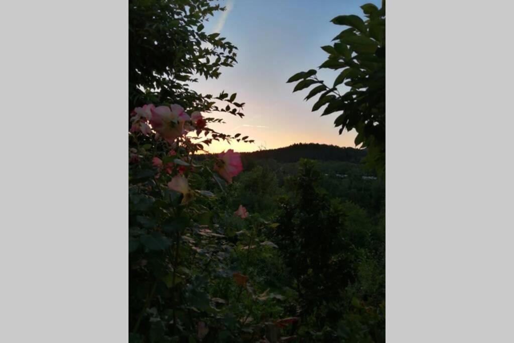 Nachhaltiges Wohnen In Seenaehe Schoemberg  외부 사진